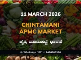 Chintamani APMC Agriculture Market Daily Price Rate List ಚಿಂತಾಮಣಿ ಕೃಷಿ ಮಾರುಕಟ್ಟೆ ಧಾರಣೆ
