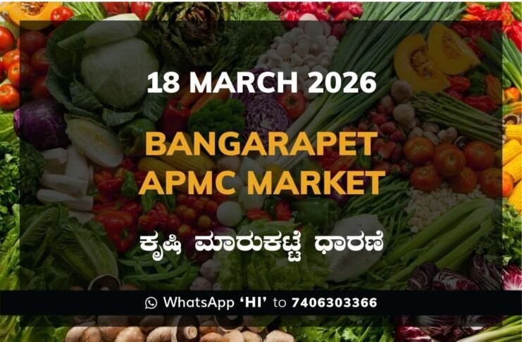 Bangarapet APMC Market: 18 March 2026