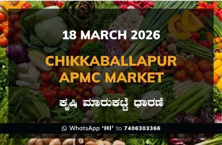 Chikkaballapur APMC Market: 18 March 2026