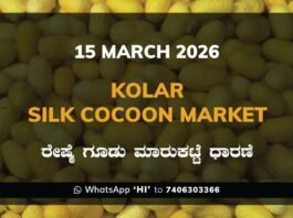 Kolar Silk Cocoon Market – 15 March 2026