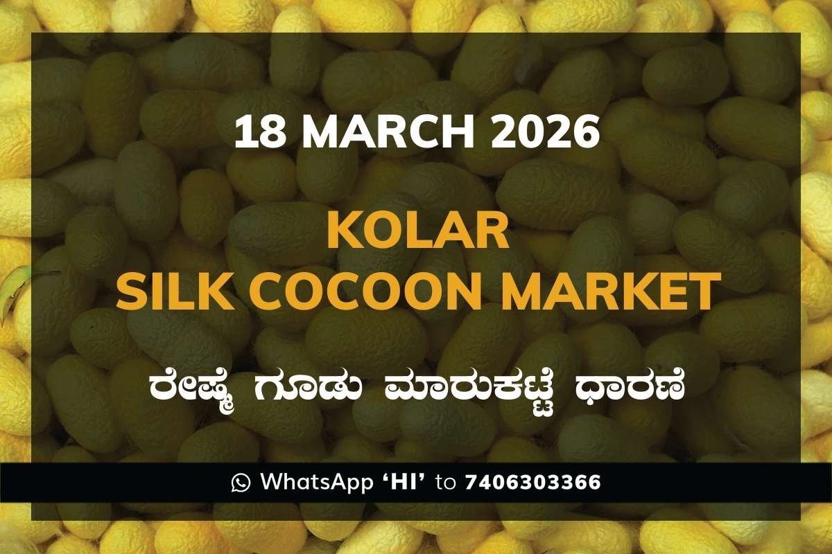 kolar-silk-cocoon-market-18-march-2026