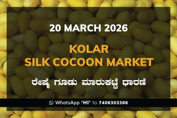 kolar-silk-cocoon-market-20-march-2026