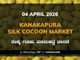 Kolar Silk Cocoon Market – 04 April 2026
