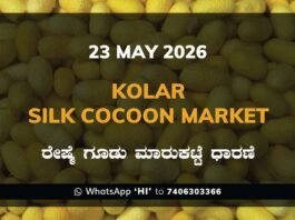 Kolar Silk Cocoon Market – 23 May 2026
