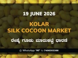 Kolar Silk Cocoon Market – 19 June 2026