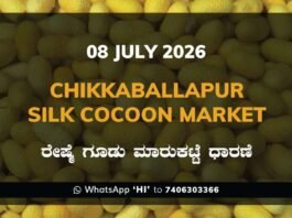 Chikkaballapur Silk Cocoon Market – 08 July 2026