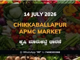 Chikkaballapur Silk Cocoon Market – 14 July 2026