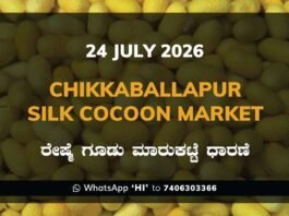 Chikkaballapur Silk Cocoon Market – 24 July 2026