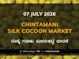 Chintamani Silk Cocoon Market – 07 July 2026