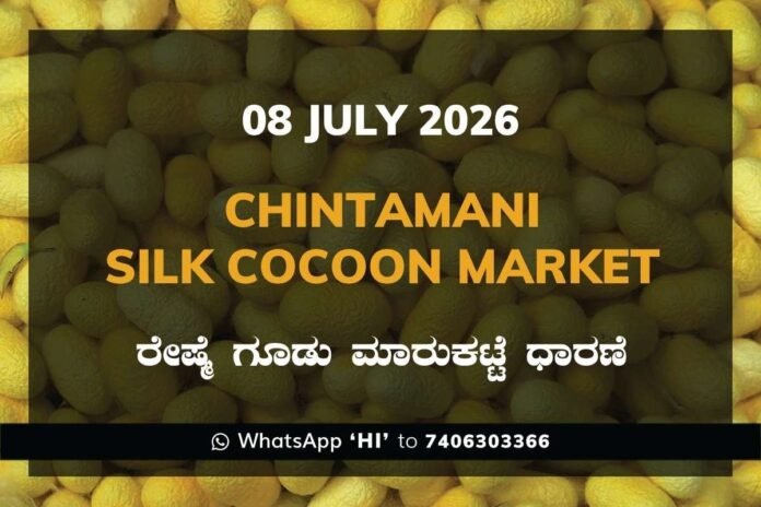 chintamani-silk-cocoon-market-08-july-2026
