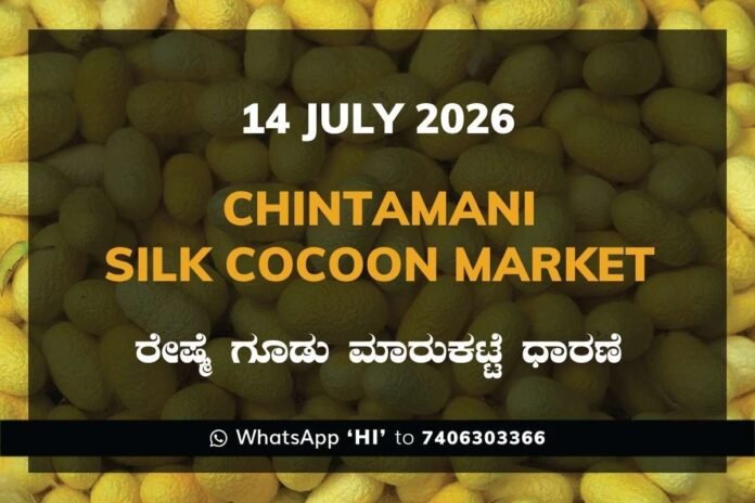 chintamani-silk-cocoon-market-14-july-2026