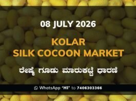 Kolar Silk Cocoon Market – 08 July 2026