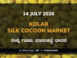 Kolar Silk Cocoon Market – 14 July 2026