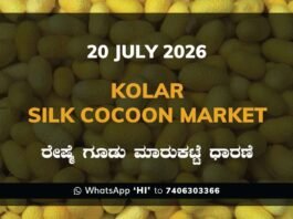 Kolar Silk Cocoon Market – 20 July 2026