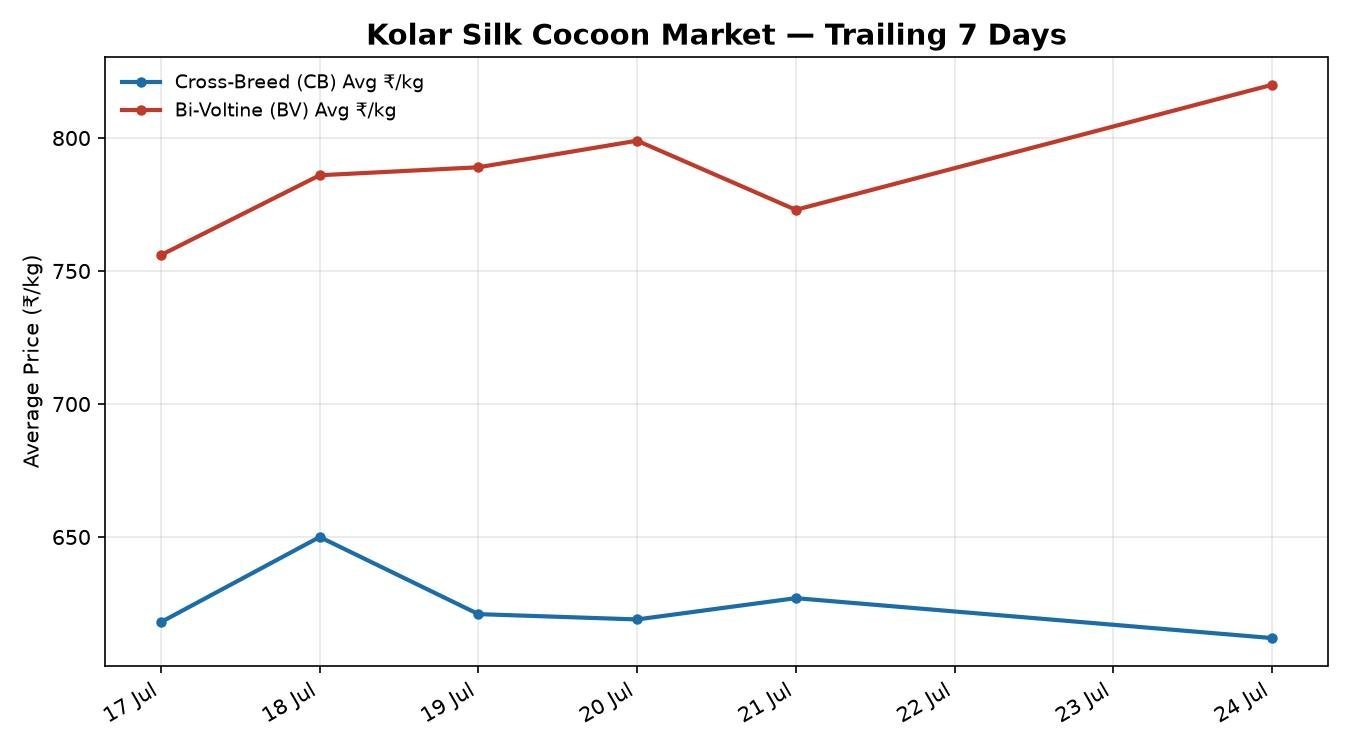 Kolar Silk Cocoon Market 7-Day Trend – 24 July 2026