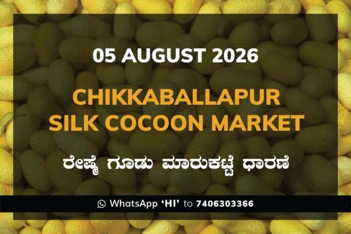 chikkaballapur-silk-cocoon-market-05-august-2026