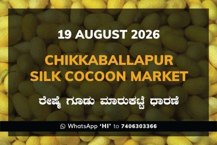 chikkaballapur-silk-cocoon-market-19-august-2026