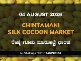 Chintamani Silk Cocoon Market – 04 August 2026