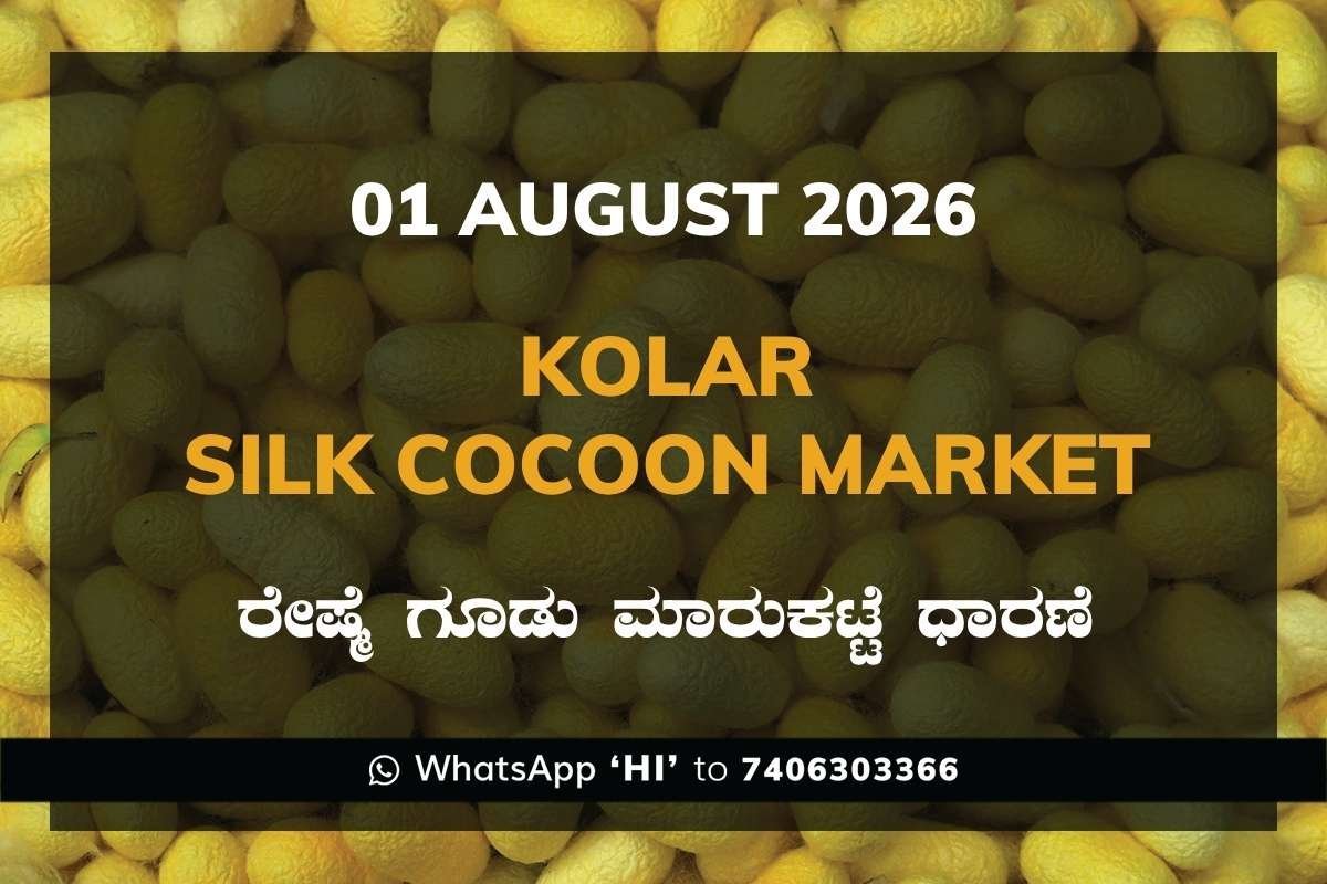 kolar-silk-cocoon-market-01-august-2026