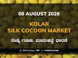 Kolar Silk Cocoon Market – 08 August 2026