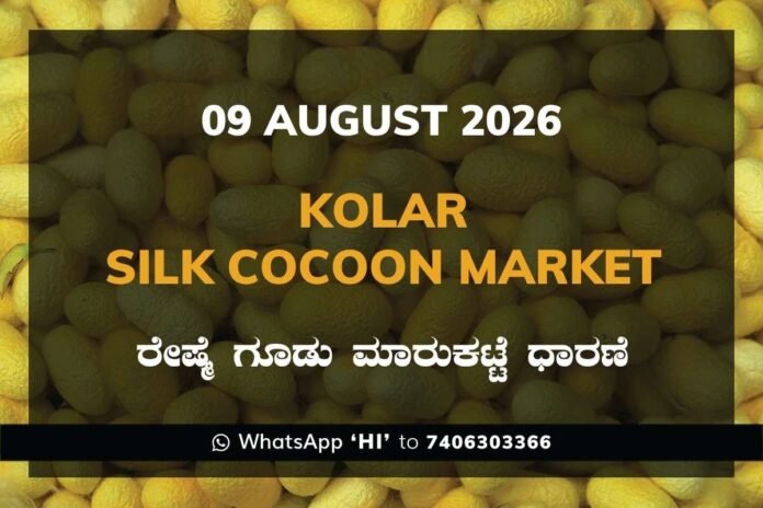 kolar-silk-cocoon-market-09-august-2026