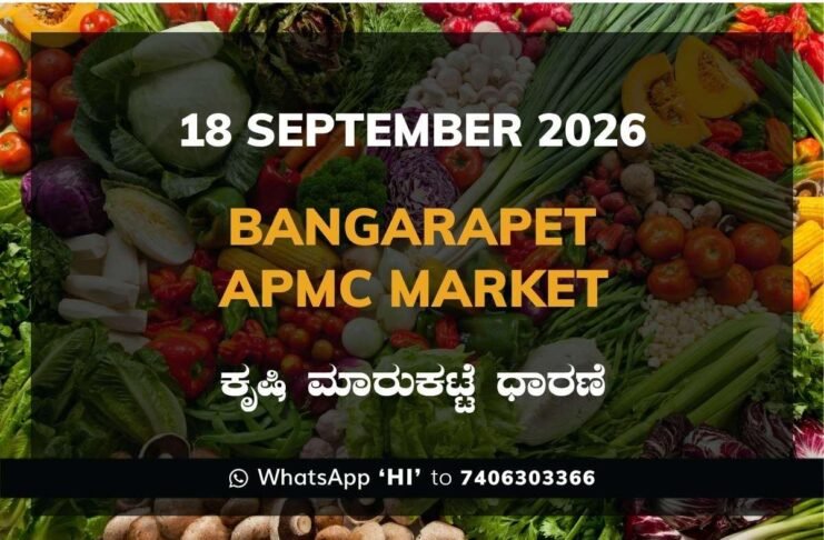bangarapet APMC market daily price report 18 September 2026