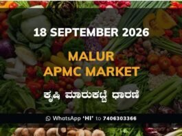 malur APMC market daily price report 18 September 2026