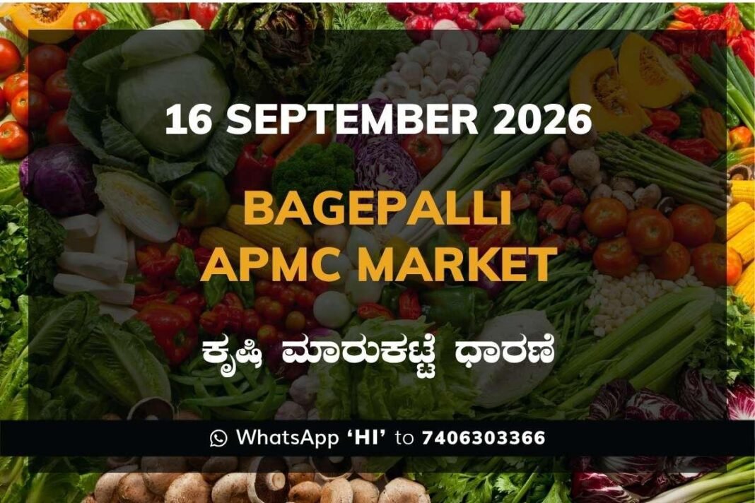 bagepalli APMC market daily price report 16 September 2026