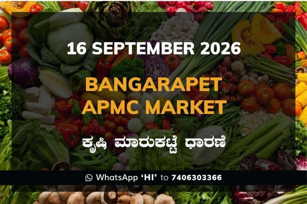 bangarapet APMC market daily price report 16 September 2026
