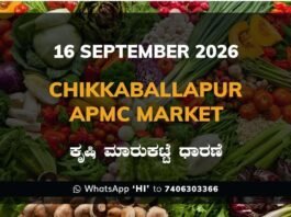 chikkaballapur APMC market daily price report 16 September 2026