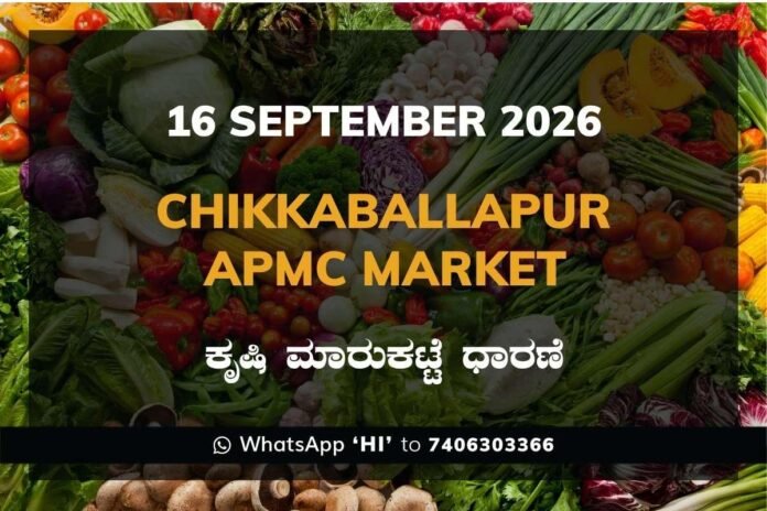 chikkaballapur APMC market daily price report 16 September 2026