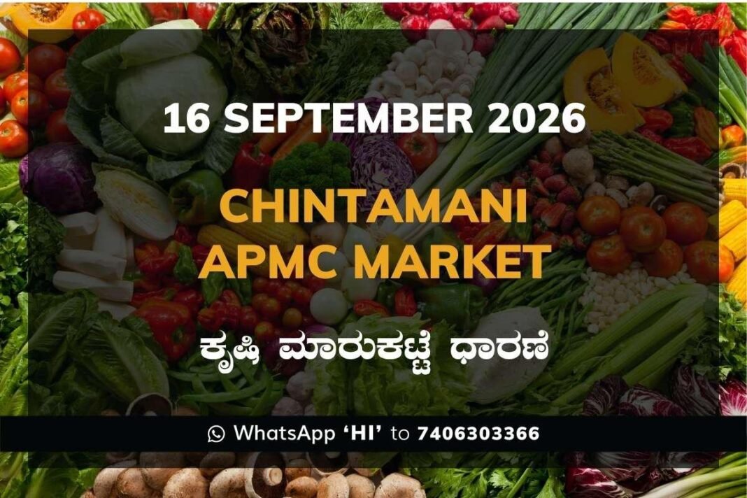 chintamani APMC market daily price report 16 September 2026
