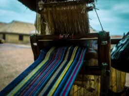 Nekara Samman Yojane handloom weaver subsidy Chikkaballapur